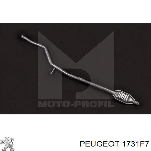 Konwerter-katalizator Peugeot/Citroen 1731E6 cena, od 161,30 USD