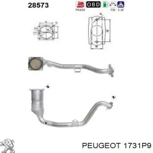 Konwerter-katalizator Peugeot/Citroen 1731P9 cena, od 217,02 USD