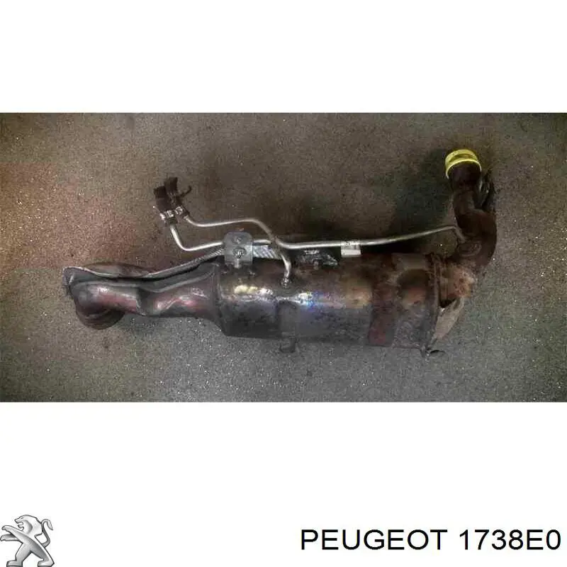 Do koszyka 55230485 Peugeot/Citroen Filtr cząstek stałych układu wydechowego