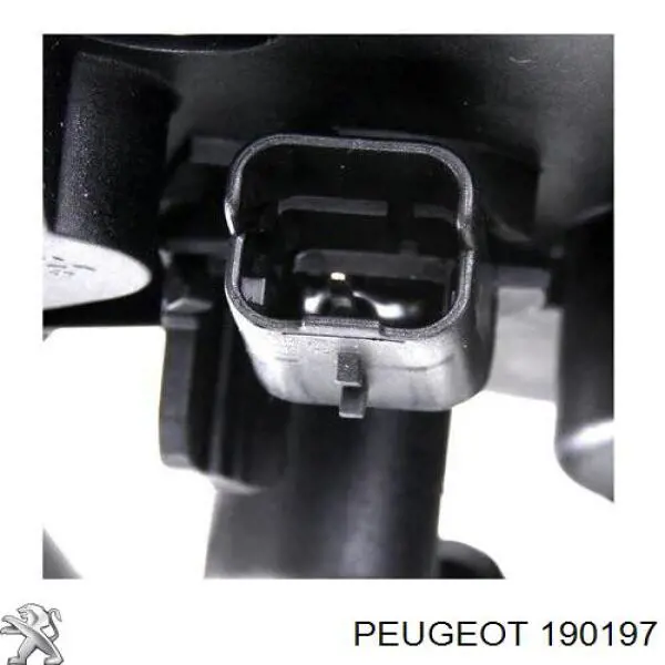 Obudowa filtra paliwa 1906000000 Peugeot/Citroen