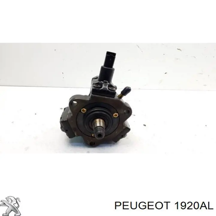 Do koszyka 1920AL Peugeot/Citroen Pompa wtryskowa wysokiego ciśnienia