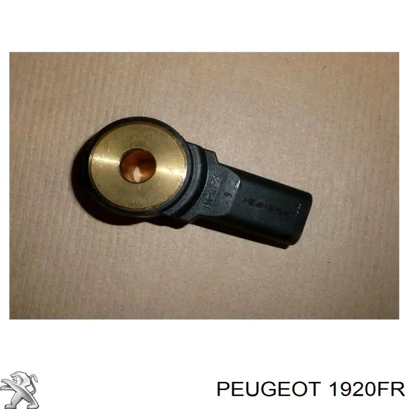 Do koszyka 1920FR Peugeot/Citroen Czujnik stukowy (czujnik spalania stukowego)