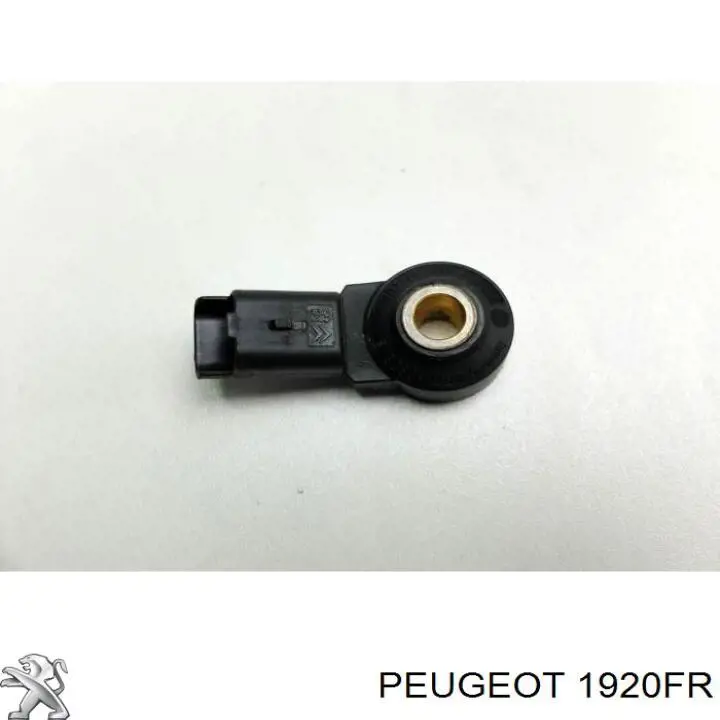 Czujnik stukowy (czujnik spalania stukowego) Peugeot/Citroen 1920FR cena, od 14,51 USD