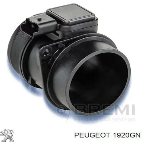 Czujnik przepływu powietrza, przepływomierz powietrza M.A.F. Peugeot/Citroen 1920GN