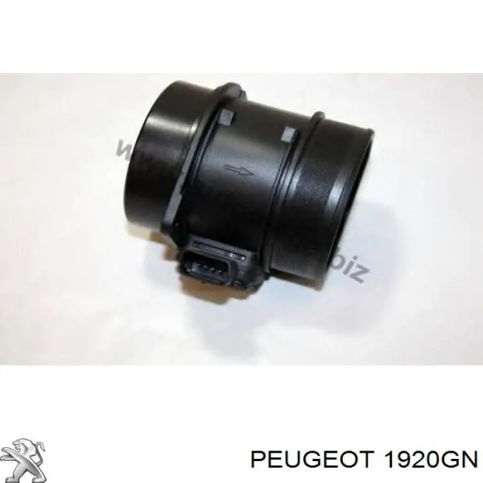 1920GN Peugeot/Citroen Czujnik przepływu powietrza, przepływomierz powietrza M.A.F.