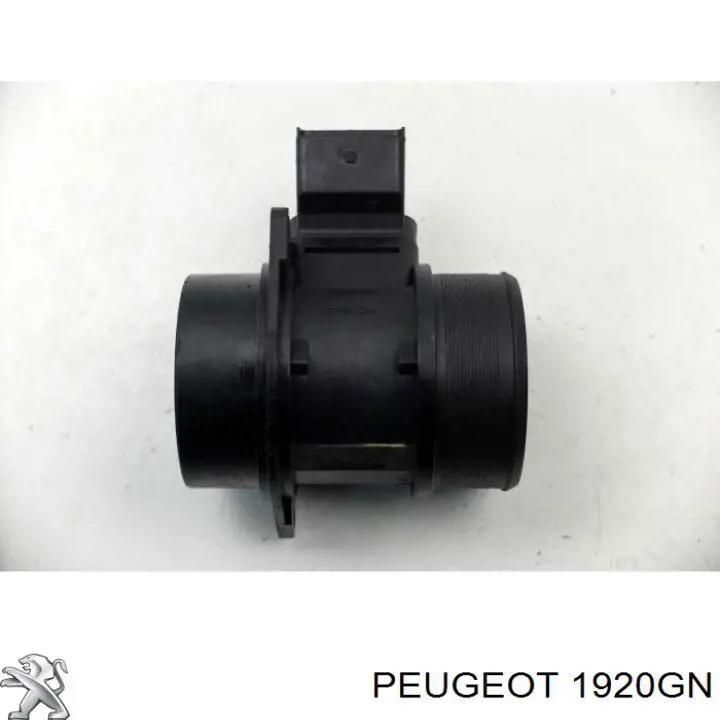 Do koszyka 1920GN Peugeot/Citroen Czujnik przepływu powietrza, przepływomierz powietrza M.A.F.