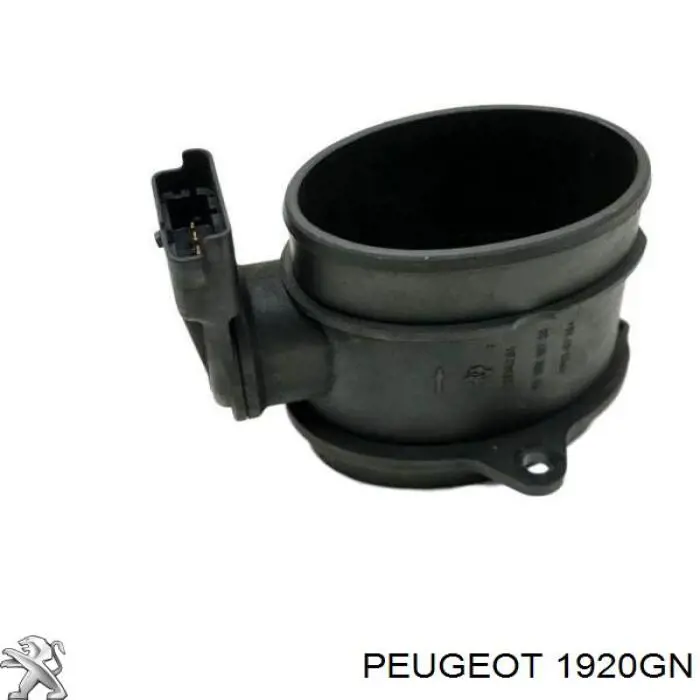 Do koszyka 1920GN Peugeot/Citroen Czujnik przepływu powietrza, przepływomierz powietrza M.A.F.