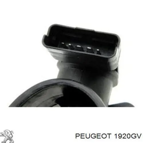 Czujnik przepływu powietrza, przepływomierz powietrza M.A.F. Peugeot/Citroen 1920GV cena, od 51,19 USD