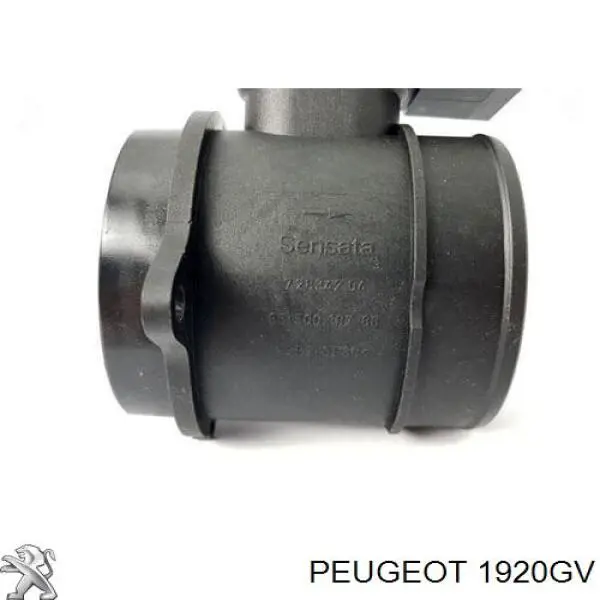 Do koszyka 1920GV Peugeot/Citroen Czujnik przepływu powietrza, przepływomierz powietrza M.A.F.
