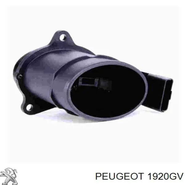 Do koszyka 1920GV Peugeot/Citroen Czujnik przepływu powietrza, przepływomierz powietrza M.A.F.
