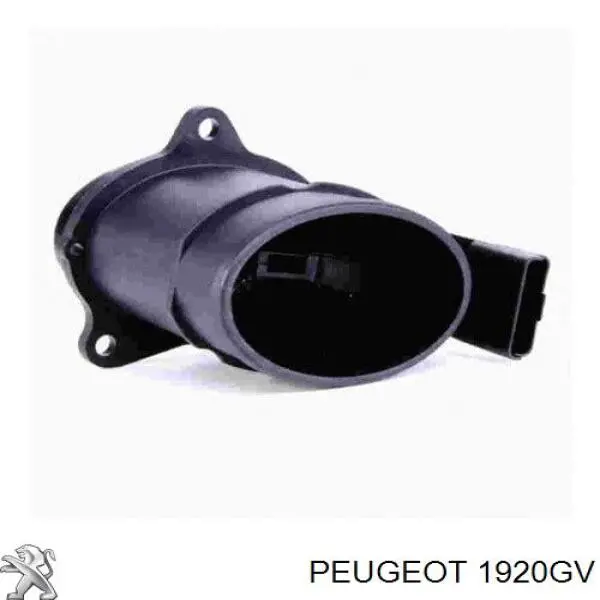 Czujnik przepływu powietrza, przepływomierz powietrza M.A.F. Peugeot/Citroen 1920GV