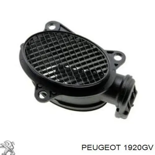 1920GV Peugeot/Citroen Czujnik przepływu powietrza, przepływomierz powietrza M.A.F.