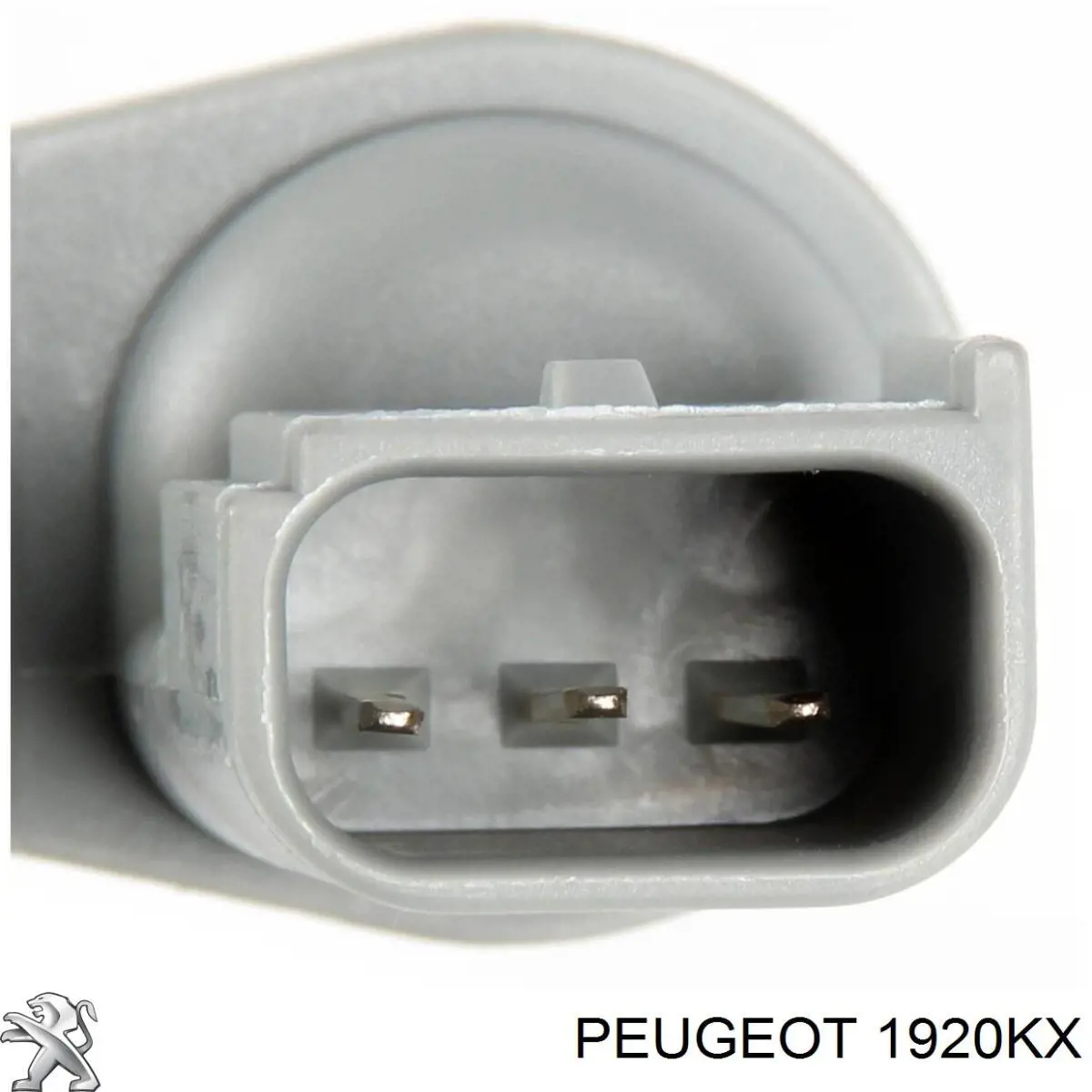 Do koszyka 1920KX Peugeot/Citroen Czujnik położenia wałka rozrządu