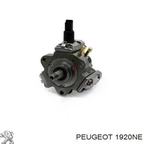 Do koszyka 1920NE Peugeot/Citroen Pompa wtryskowa wysokiego ciśnienia