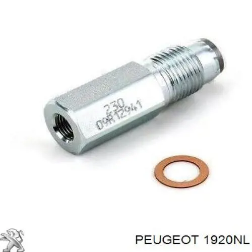 Regulator ciśnienia paliwa w listwie paliwowej Peugeot/Citroen 1920NL cena, od 52,33 USD