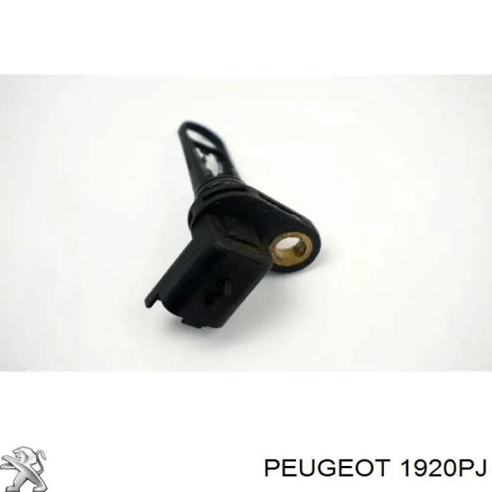 Do koszyka 1920PJ Peugeot/Citroen Czujnik temperatury powietrza wlotowego