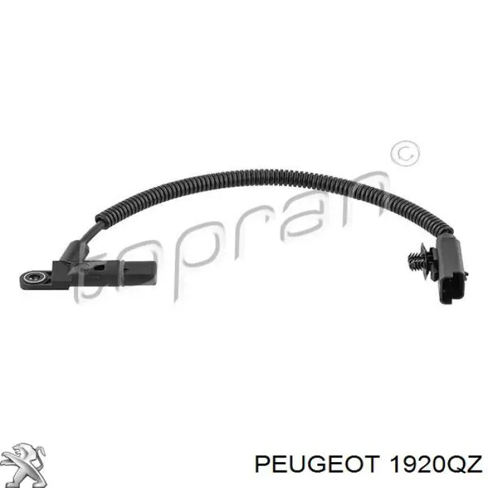 1920QZ Peugeot/Citroen Czujnik położenia wałka rozrządu