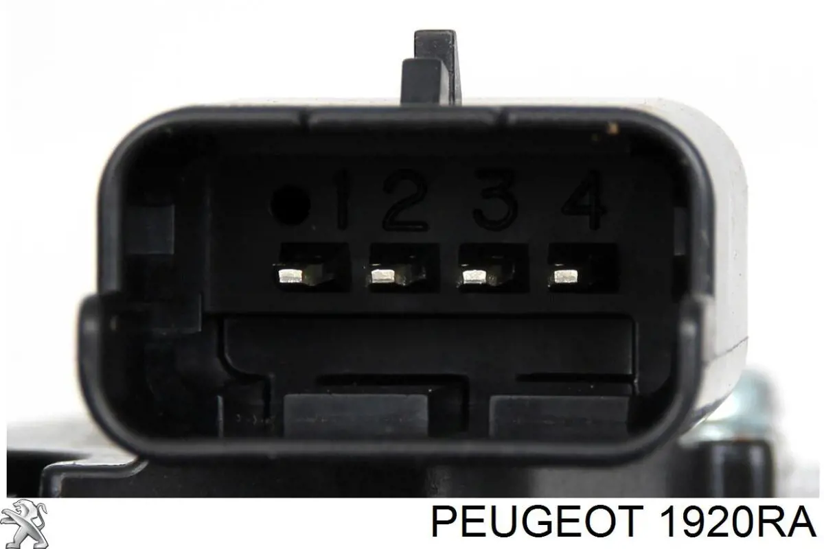 Do koszyka 1920RA Peugeot/Citroen Czujnik przepływu powietrza, przepływomierz powietrza M.A.F.