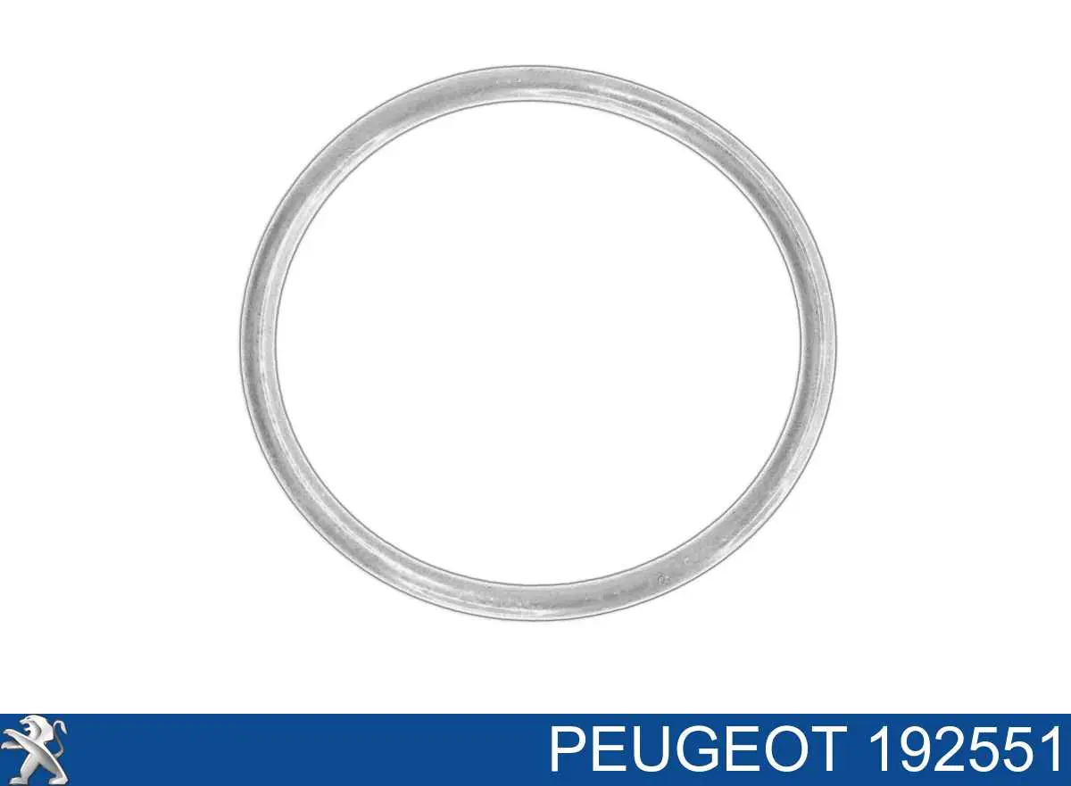 192551 Peugeot/Citroen Uszczelka pompy wtryskowej