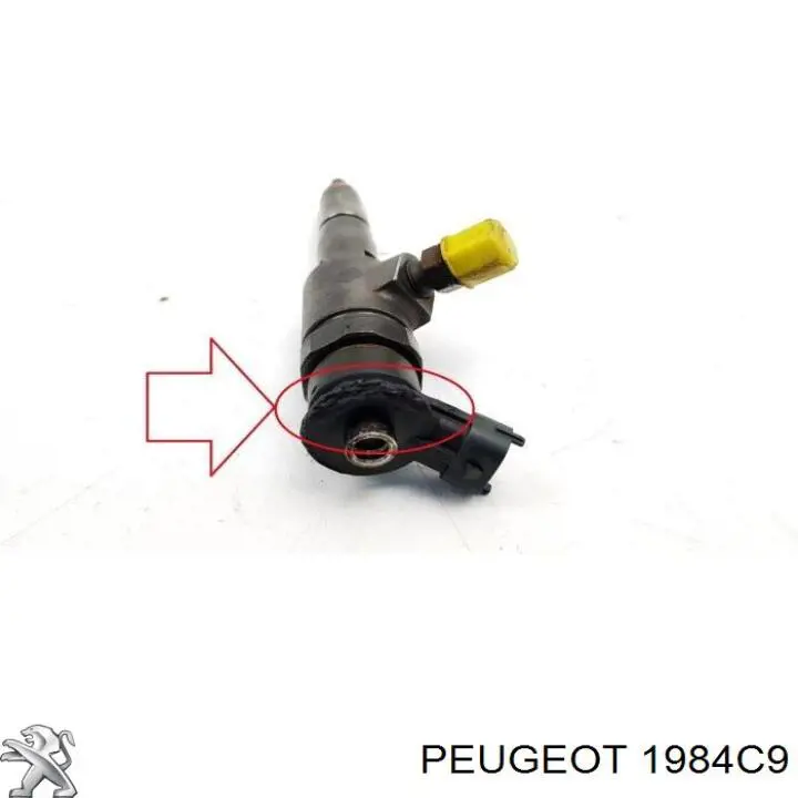 Wtryskiwacz paliwa 1984C9 Peugeot/Citroen