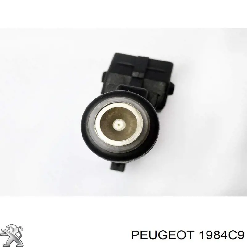 Wtryskiwacz paliwa Peugeot/Citroen 1984C9