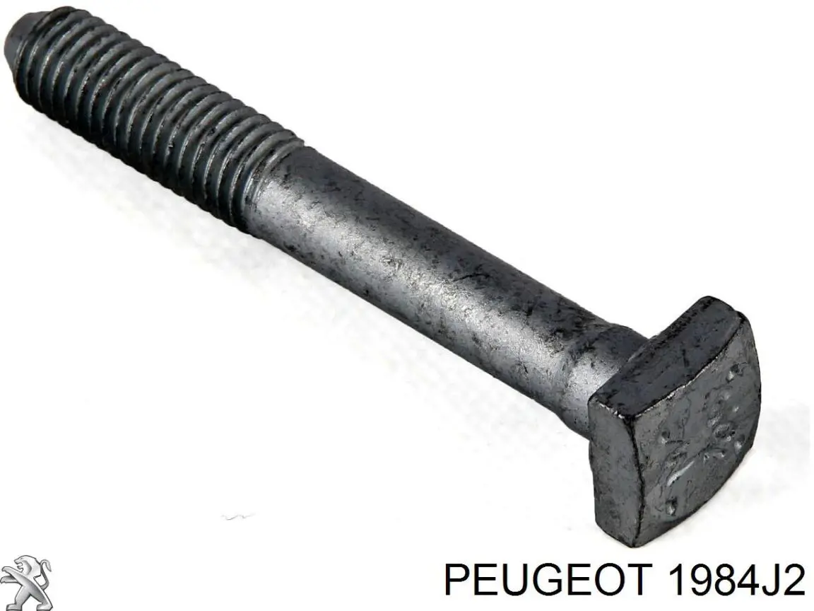 Wtryskiwacz paliwa Peugeot/Citroen 1984J2