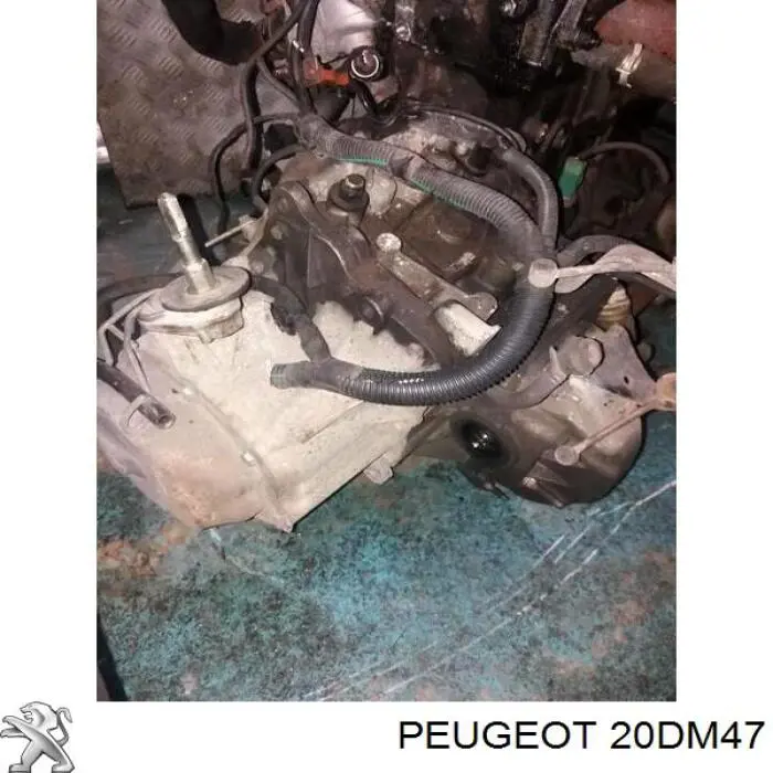  Mechaniczna skrzynia biegów w komplecie Citroen Berlingo 