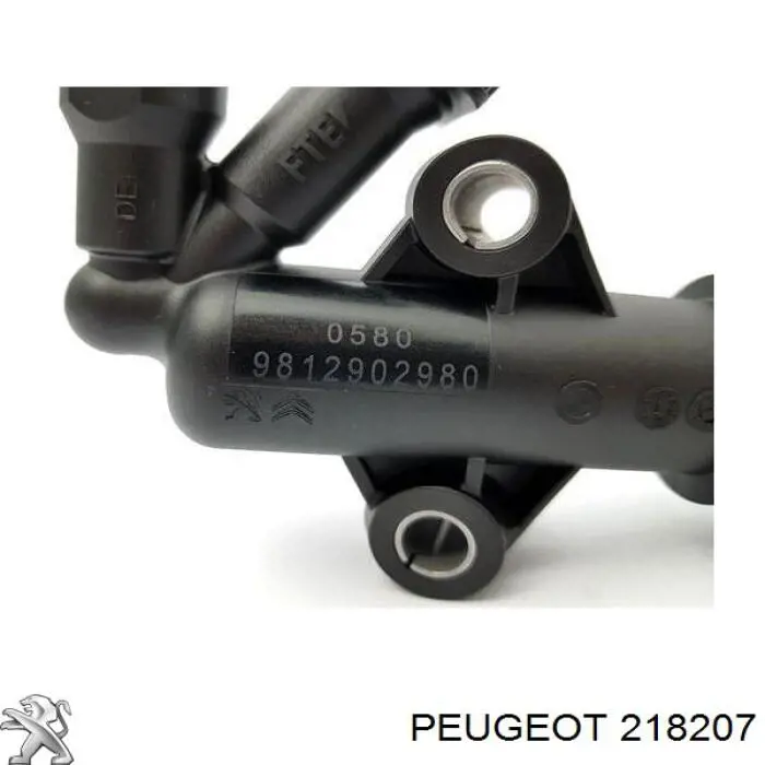 Do koszyka 218207 Peugeot/Citroen Cylinder sprzęgła główny