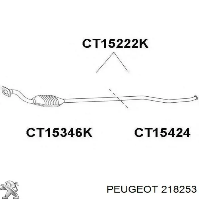 218253 Peugeot/Citroen Cylinder sprzęgła główny