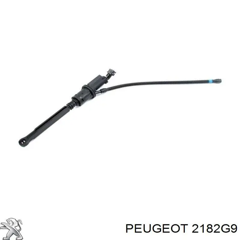 Do koszyka 2182G9 Peugeot/Citroen Cylinder sprzęgła główny