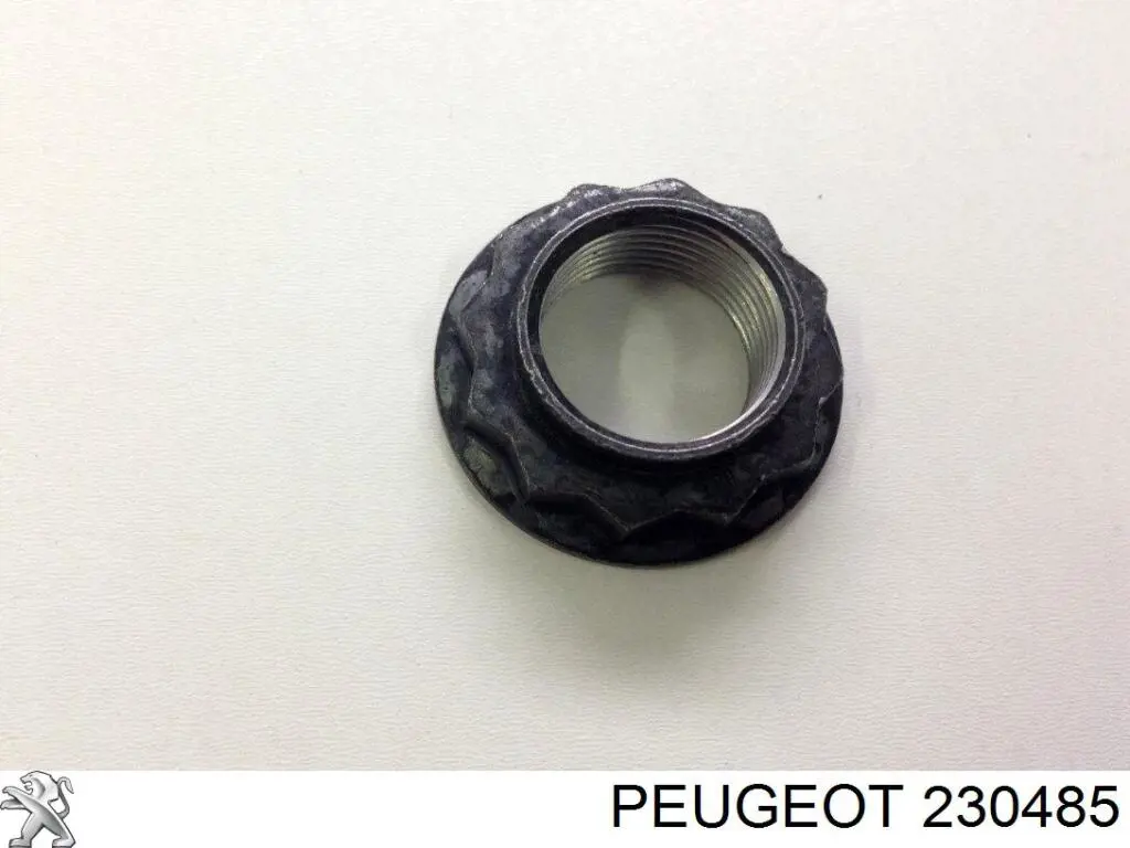 Tarcza hamulcowa tylna do Peugeot 301  