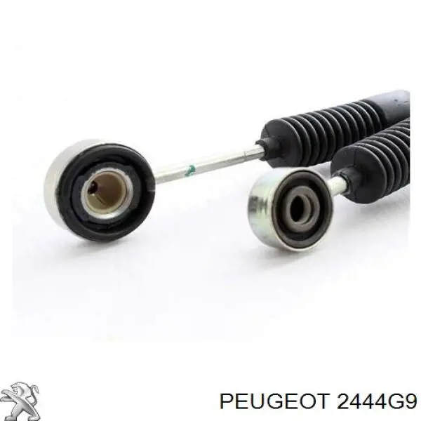 Linka dźwigni zmiany biegów podwójna Peugeot/Citroen 2444G9 cena, od 94,74 USD