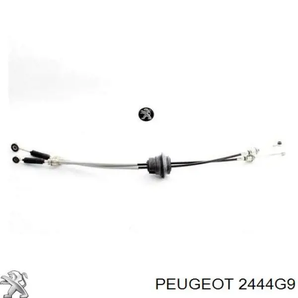 Do koszyka 2444G9 Peugeot/Citroen Linka dźwigni zmiany biegów podwójna