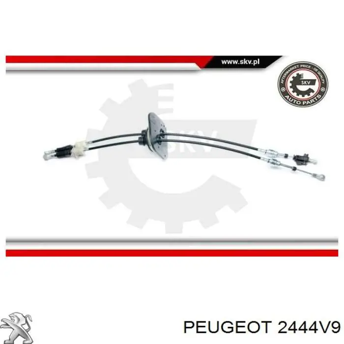 Do koszyka 2444V9 Peugeot/Citroen Linka dźwigni zmiany biegów podwójna