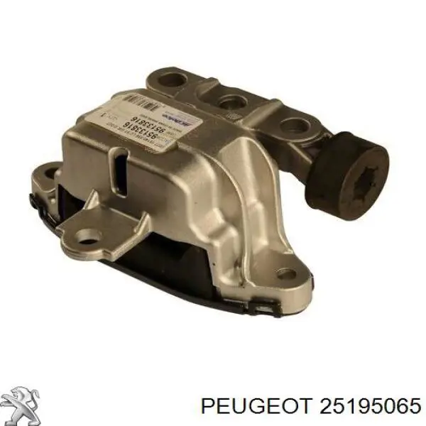 Do koszyka 55580179 General Motors Tłok, komplet do jednego cylindru, STD