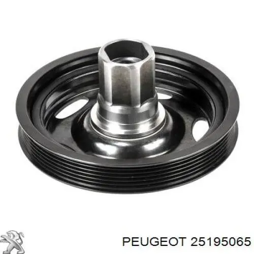 Do koszyka 55580179 General Motors Tłok, komplet do jednego cylindru, STD
