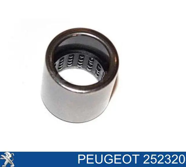 252320 Peugeot/Citroen tuleja osi widełek sprzęgła