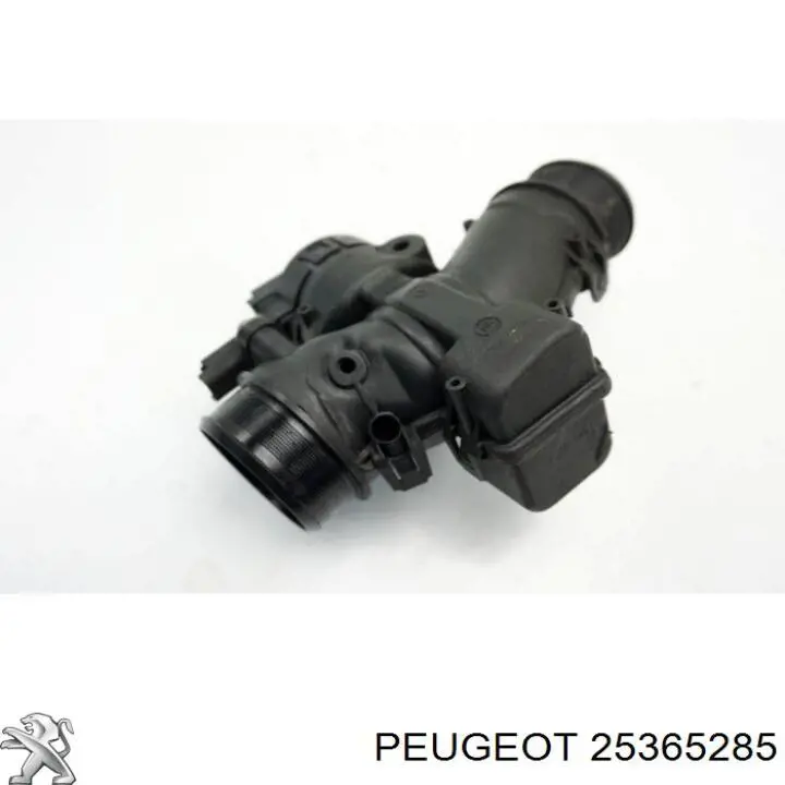 Przepustnica, komplet do Citroen C4 PICASSO I UD