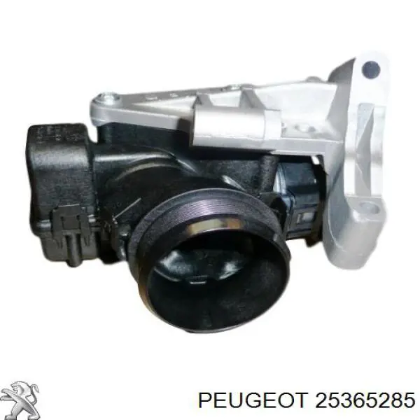 Przepustnica, komplet Citroen C4 PICASSO I minivan (UD) (2006 - 2013) cena, od 104,50 USD