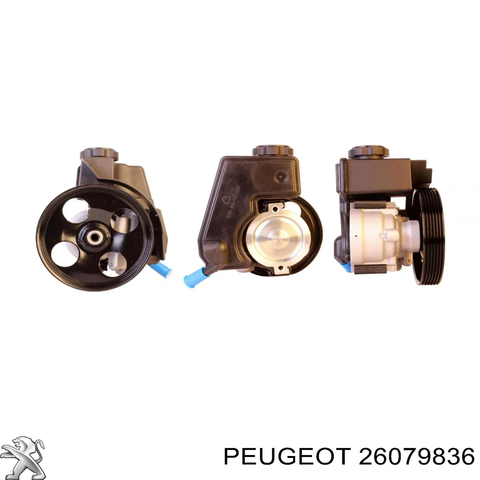 Do koszyka 26079836 Peugeot/Citroen Pompa wspomagania hydraulicznego kierownicy
