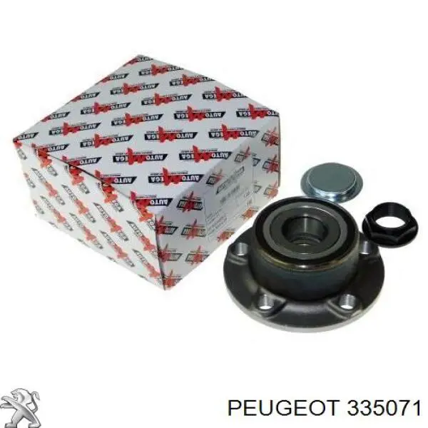 Do koszyka 335071 Peugeot/Citroen Piasta tylna