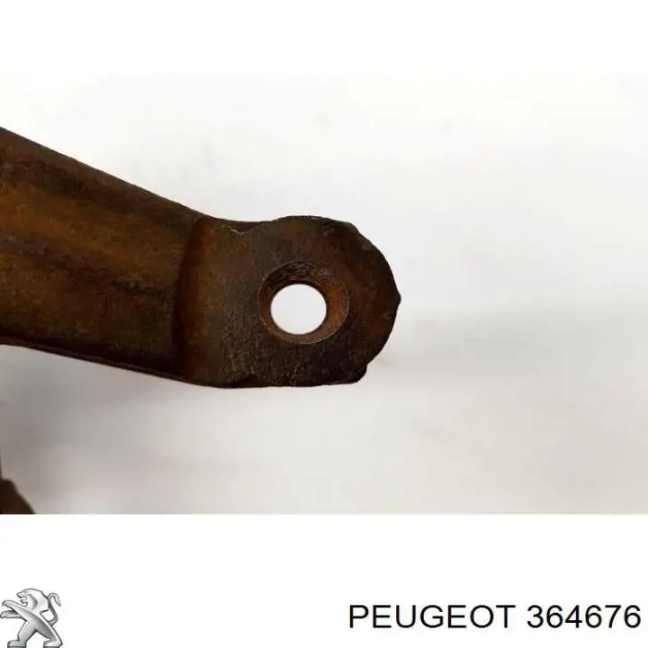 Czop (zwrotnica) przedni lewy Peugeot/Citroen 364676 cena, od 64,96 USD