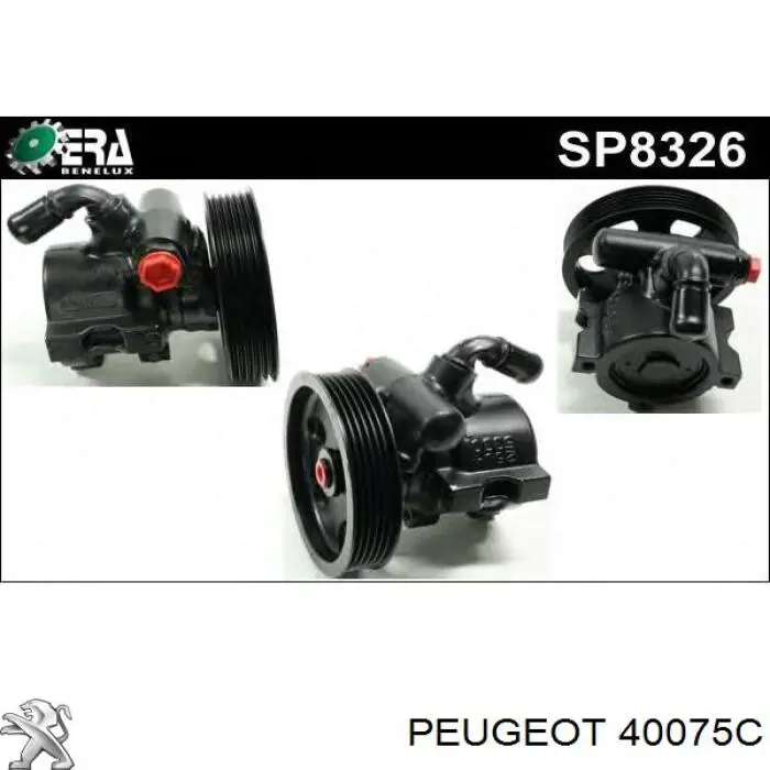 Do koszyka 40075C Peugeot/Citroen Pompa wspomagania hydraulicznego kierownicy