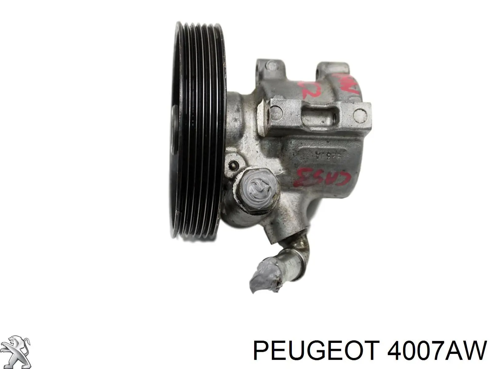 Do koszyka 4007AW Peugeot/Citroen Pompa wspomagania hydraulicznego kierownicy