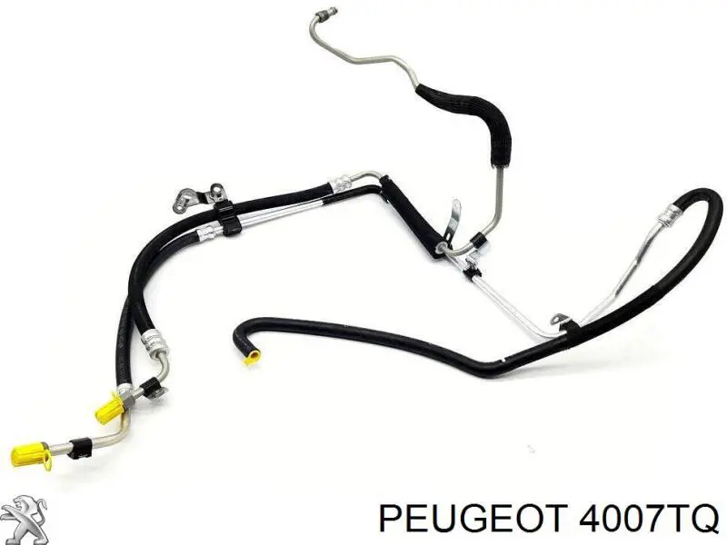 Pompa wspomagania hydraulicznego kierownicy Peugeot/Citroen 4007TQ