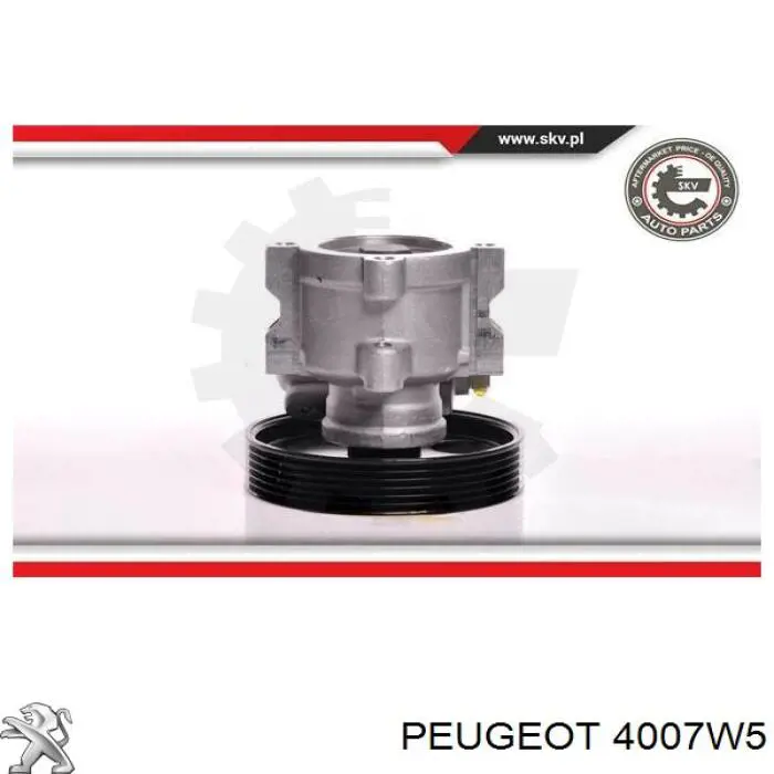 Do koszyka 4007W5 Peugeot/Citroen Pompa wspomagania hydraulicznego kierownicy