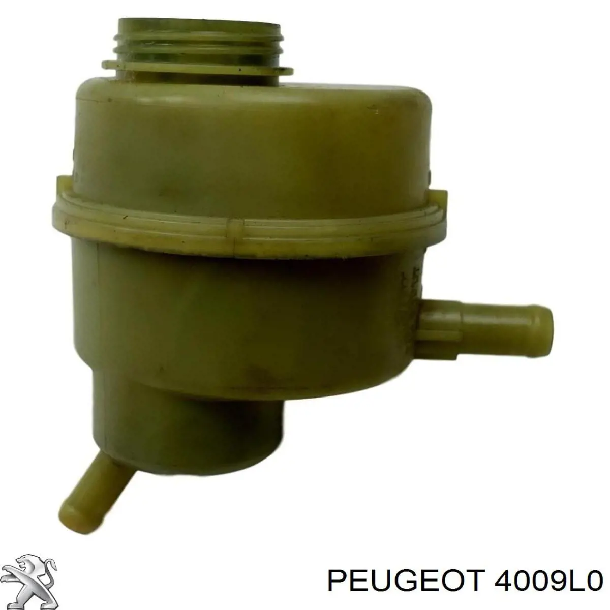 Do koszyka Zbiornik płynu wspomagania Peugeot 407  6D