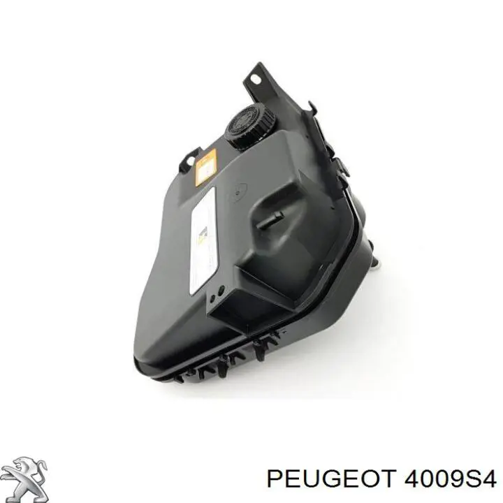 Do koszyka Zbiornik płynu wspomagania Citroen C5 III RD