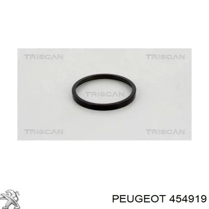 Do koszyka 454919 Peugeot/Citroen Pierścień ABS