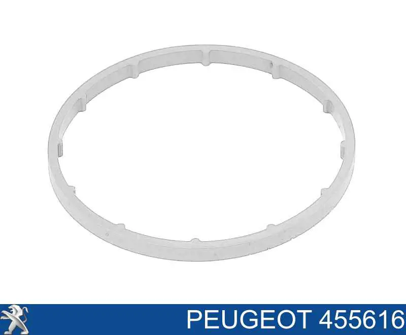 455616 Peugeot/Citroen Uszczelka pompy próżniowej
